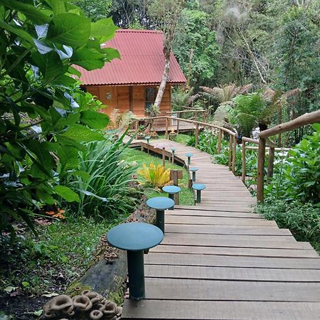 Campos do Jordão Chale Samambaiaヴィラ エクステリア 写真