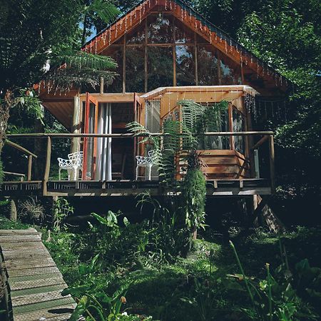Campos do Jordão Chale Samambaiaヴィラ エクステリア 写真
