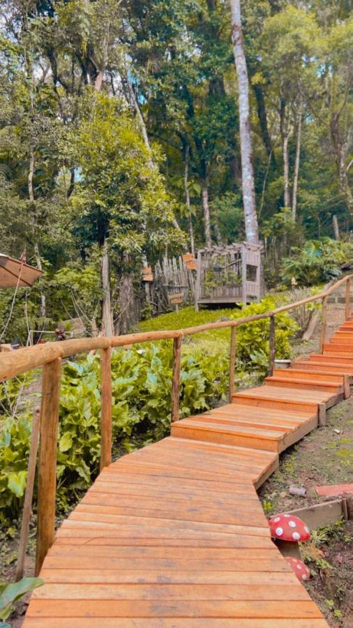 Campos do Jordão Chale Samambaiaヴィラ エクステリア 写真