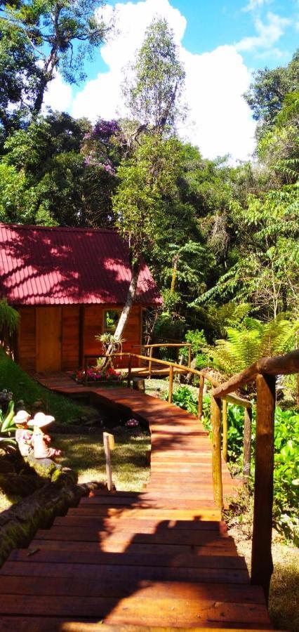 Campos do Jordão Chale Samambaiaヴィラ エクステリア 写真
