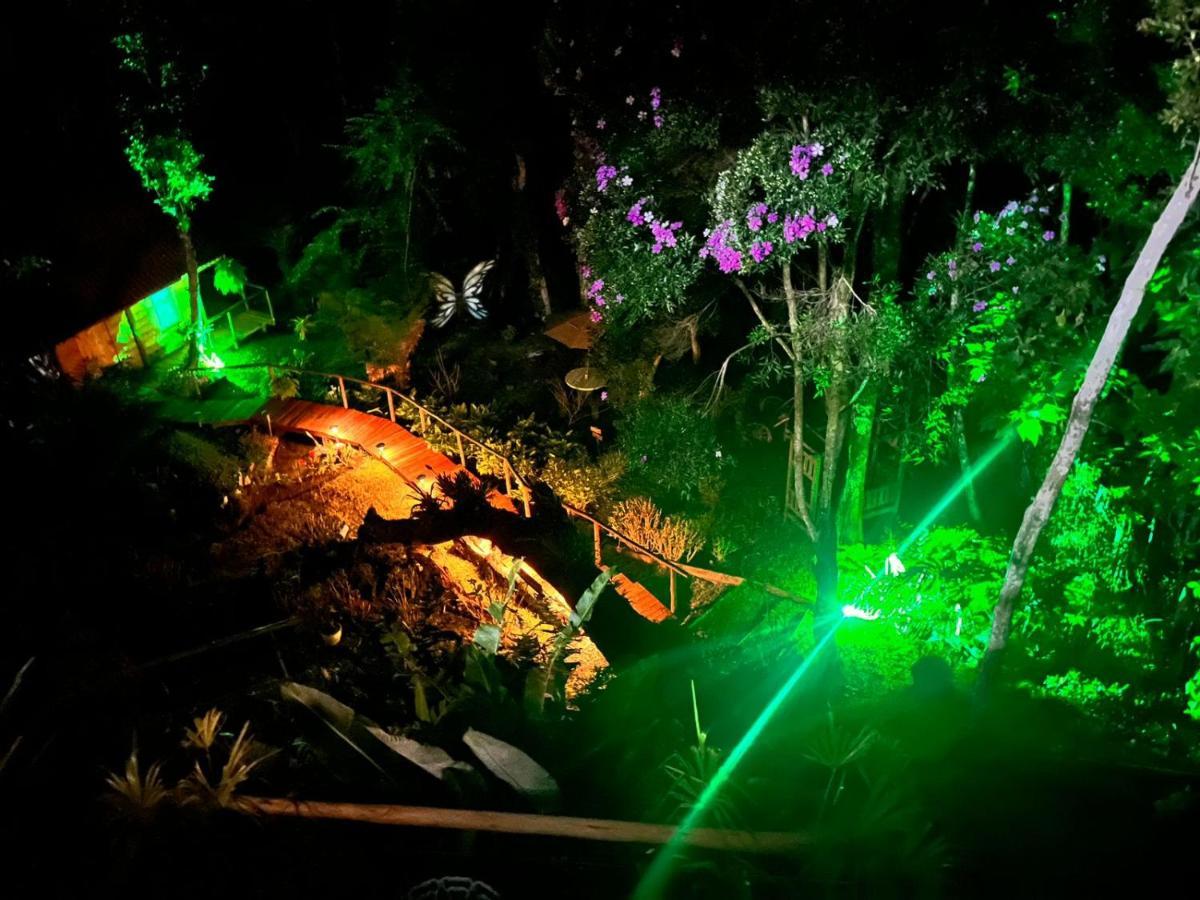 Campos do Jordão Chale Samambaiaヴィラ エクステリア 写真