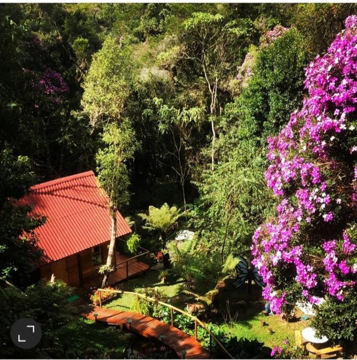 Campos do Jordão Chale Samambaiaヴィラ エクステリア 写真