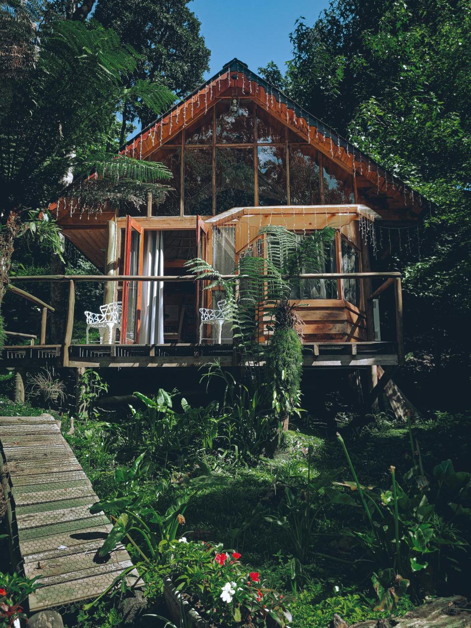 Campos do Jordão Chale Samambaiaヴィラ エクステリア 写真